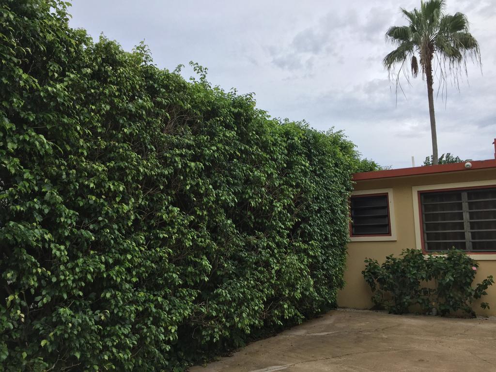 Tres Palmas Inn And Villas Rincón Eksteriør billede